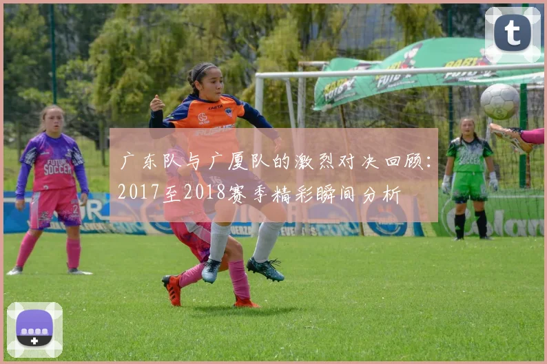 广东队与广厦队的激烈对决回顾：2017至2018赛季精彩瞬间分析