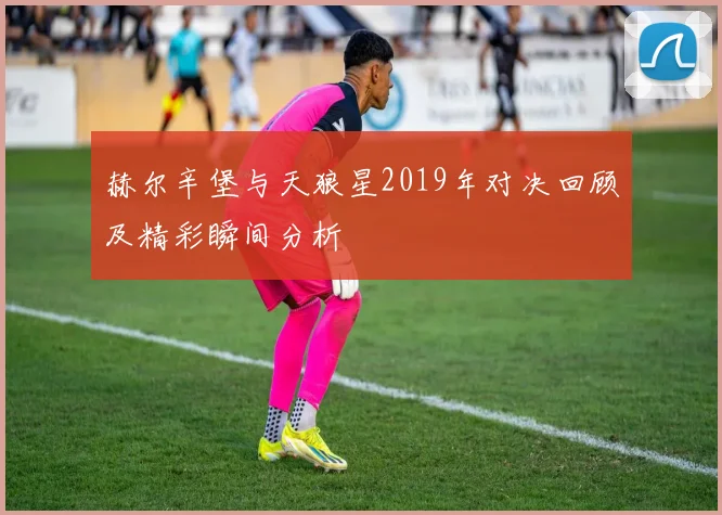 赫尔辛堡与天狼星2019年对决回顾及精彩瞬间分析