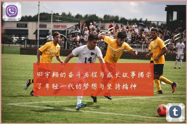 田宇翔的奋斗历程与成长故事揭示了年轻一代的梦想与坚持精神