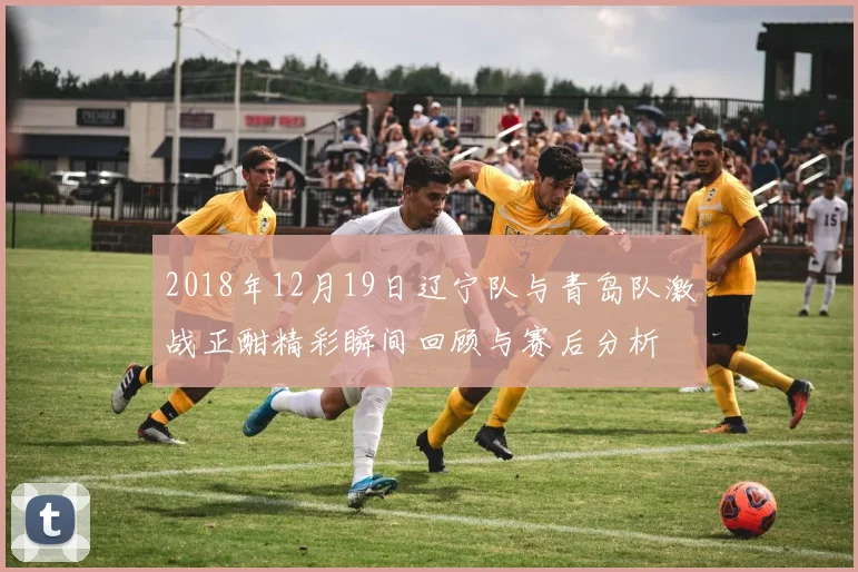2018年12月19日辽宁队与青岛队激战正酣精彩瞬间回顾与赛后分析